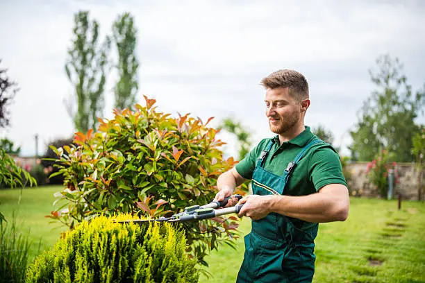 Gardening