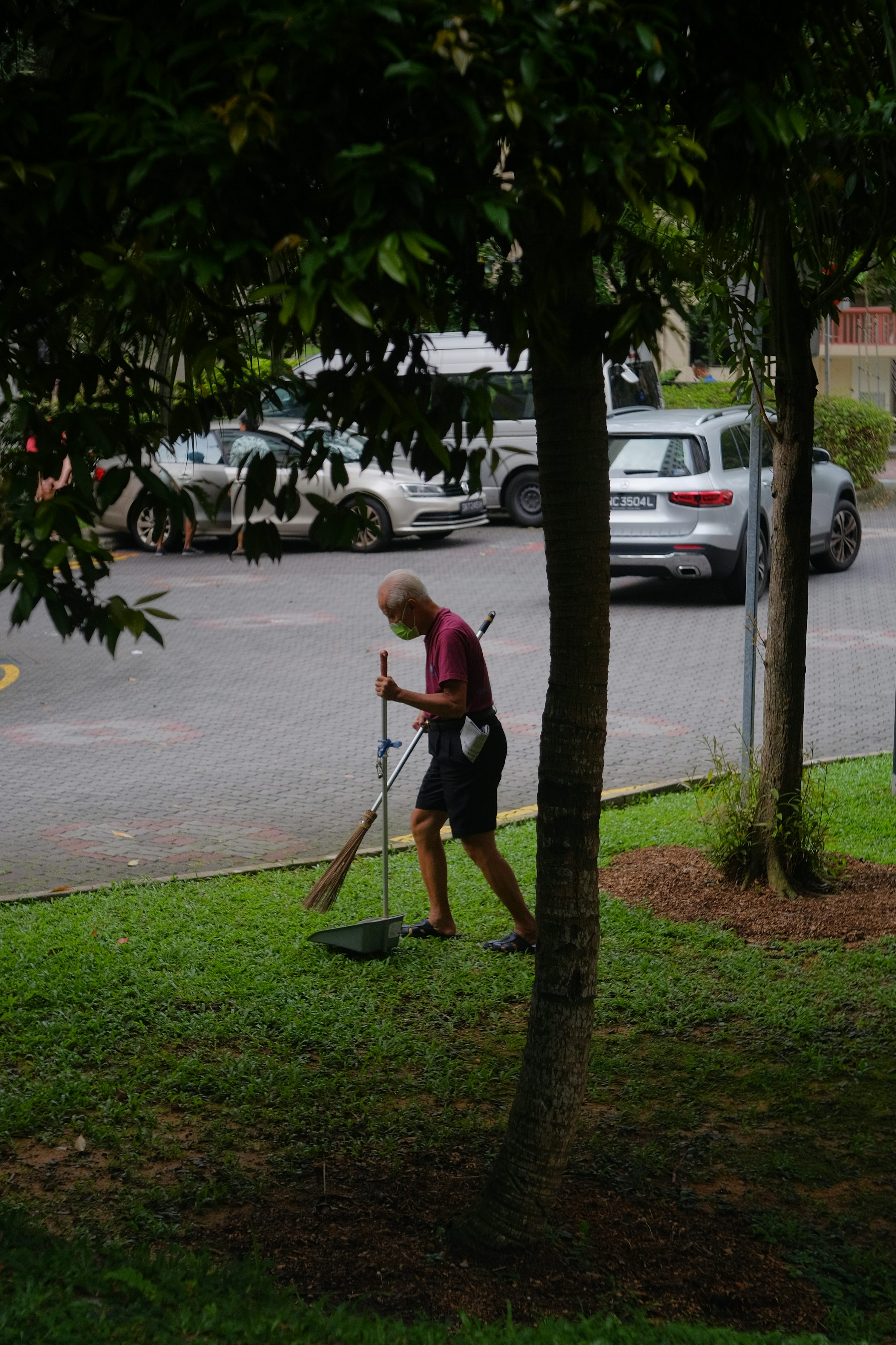 Yard Cleaning